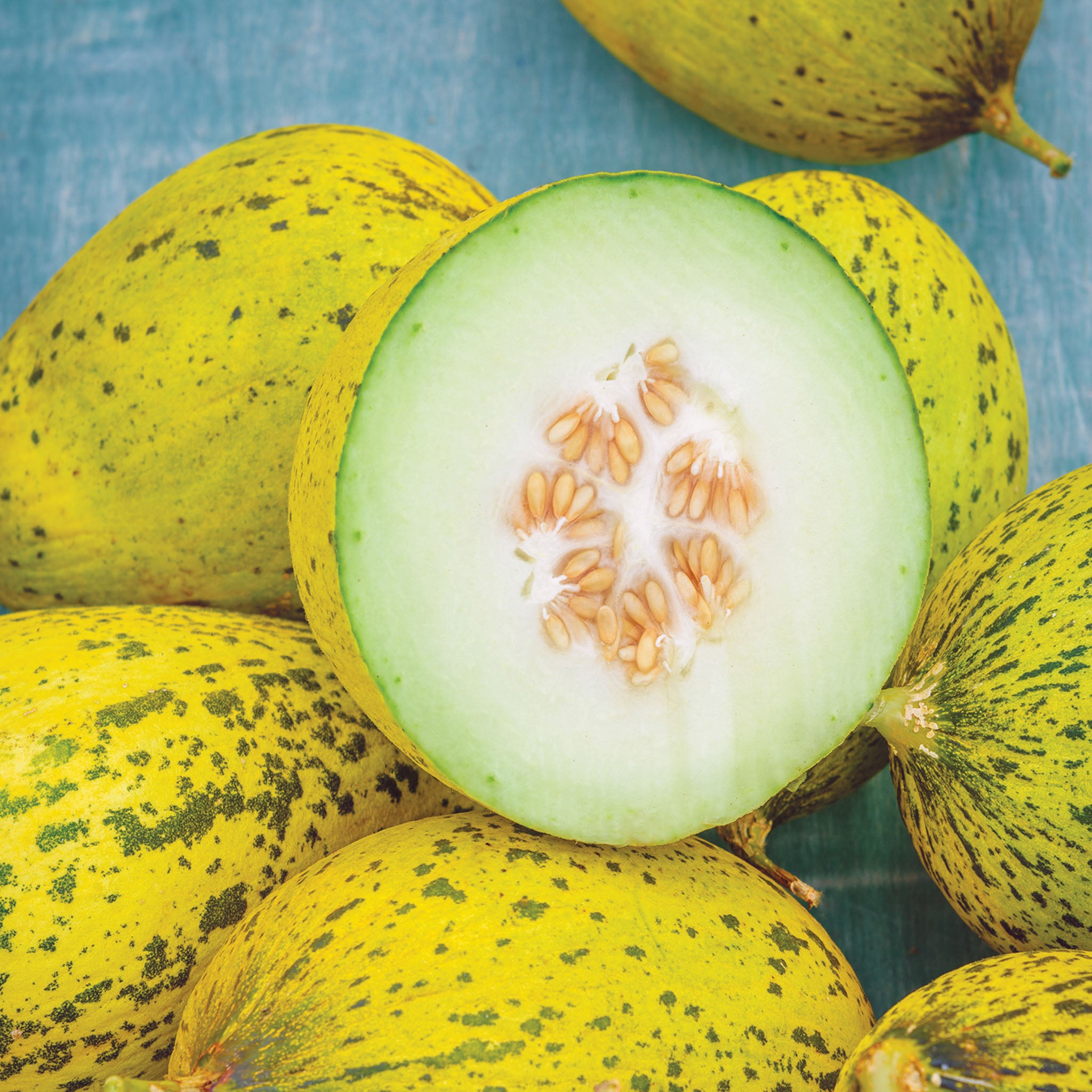 Whatamelon Melon