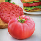 Medium Rare Tomato