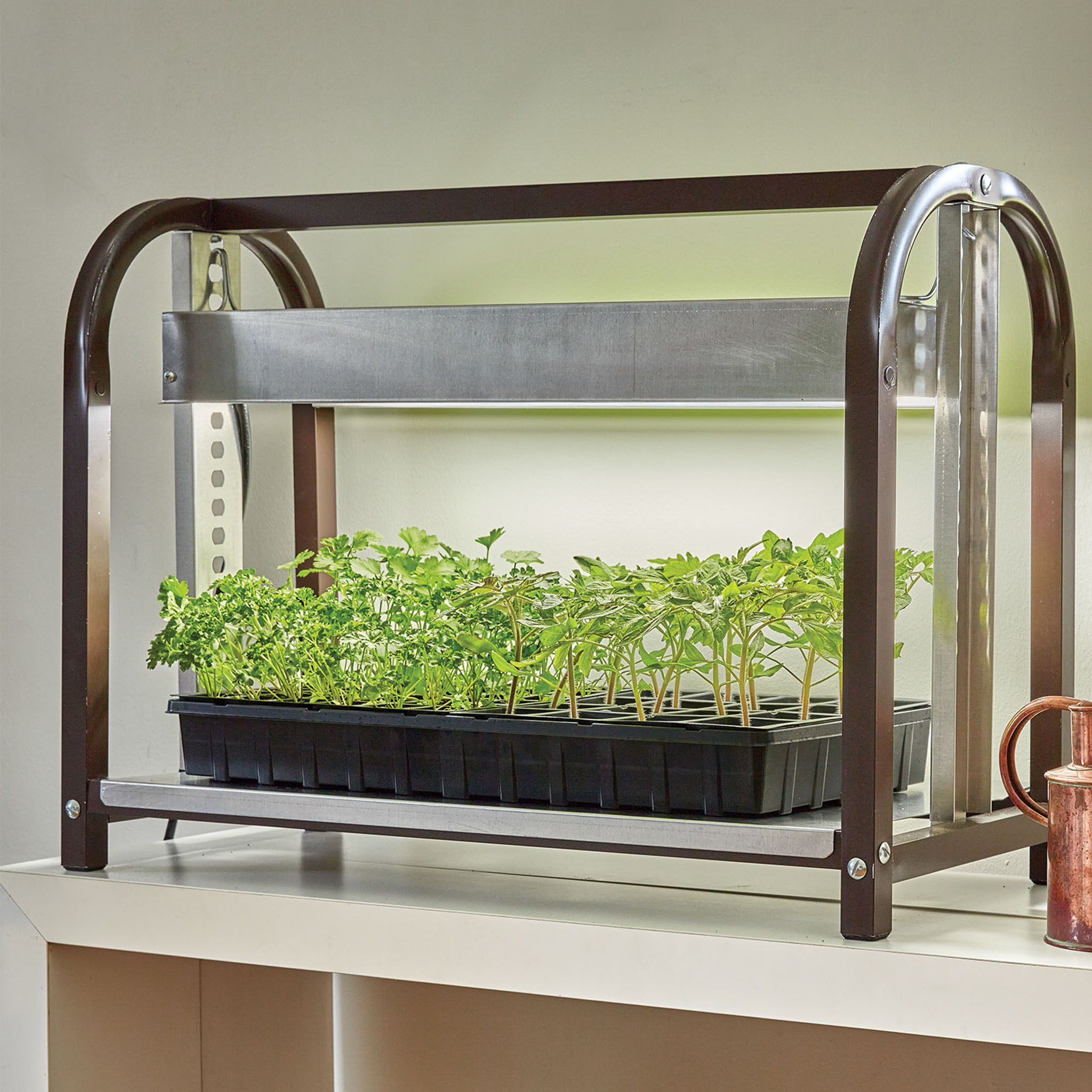 Tabletop LED Glow n Grow Light