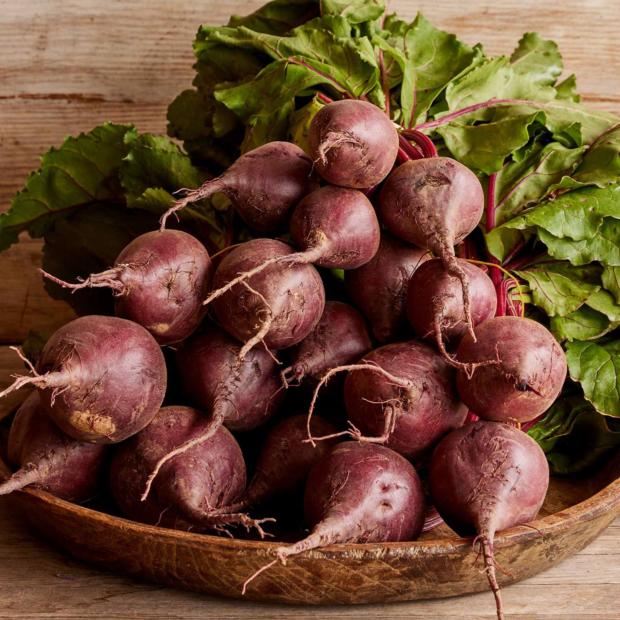 Detroit Dark Red Medium Top Beet