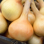 Walla Walla Sweet Onions