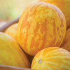 SuperBall Melon