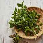 Batik Basil