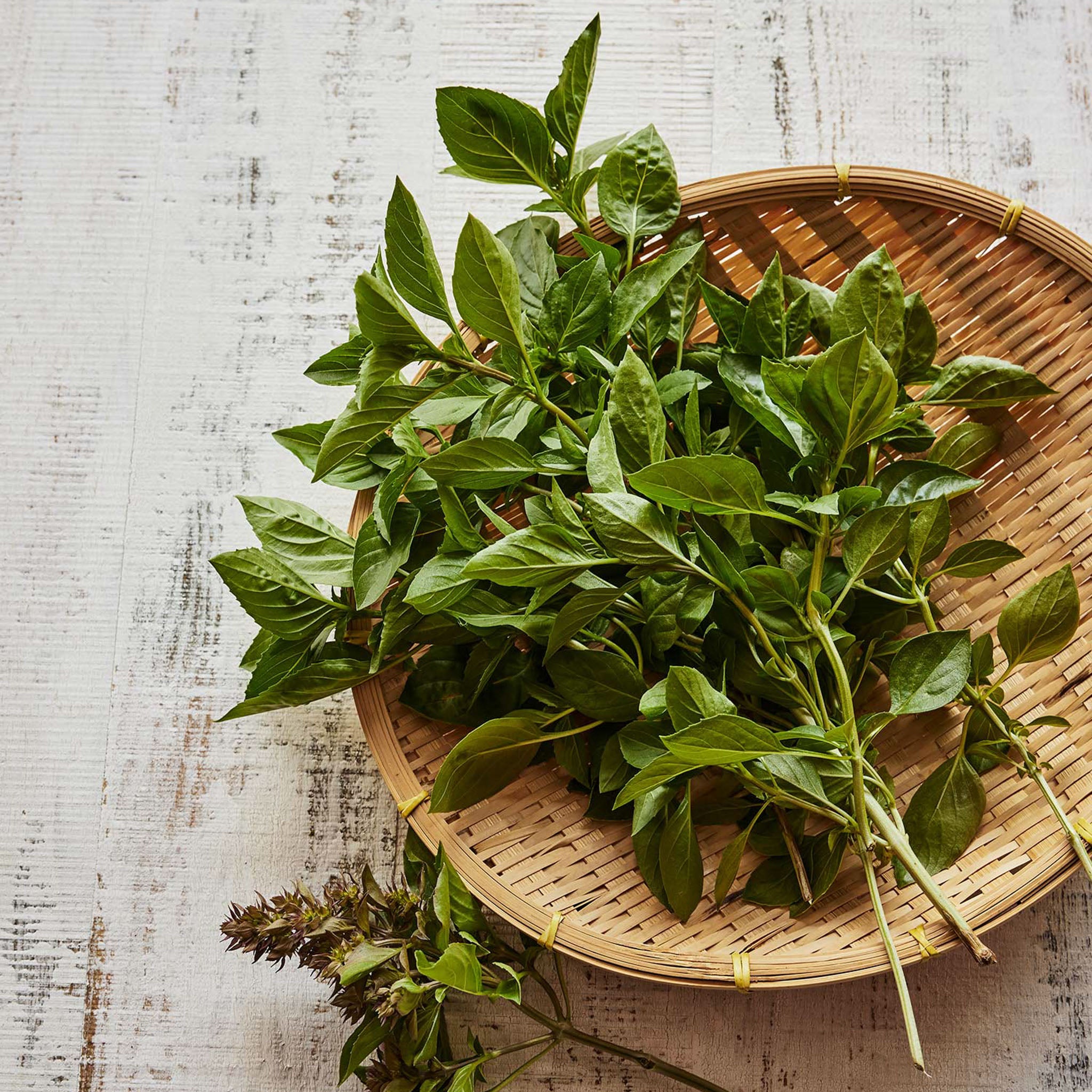 Batik Basil