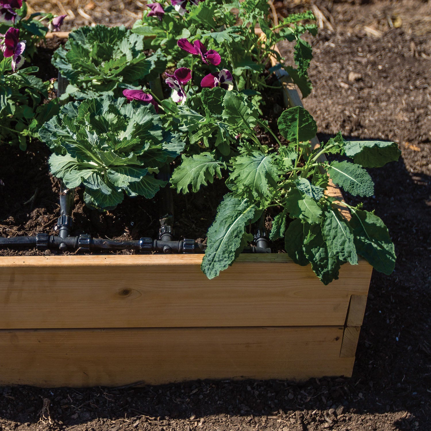 Cedar Raised Garden Bed Kit, No Tools Required