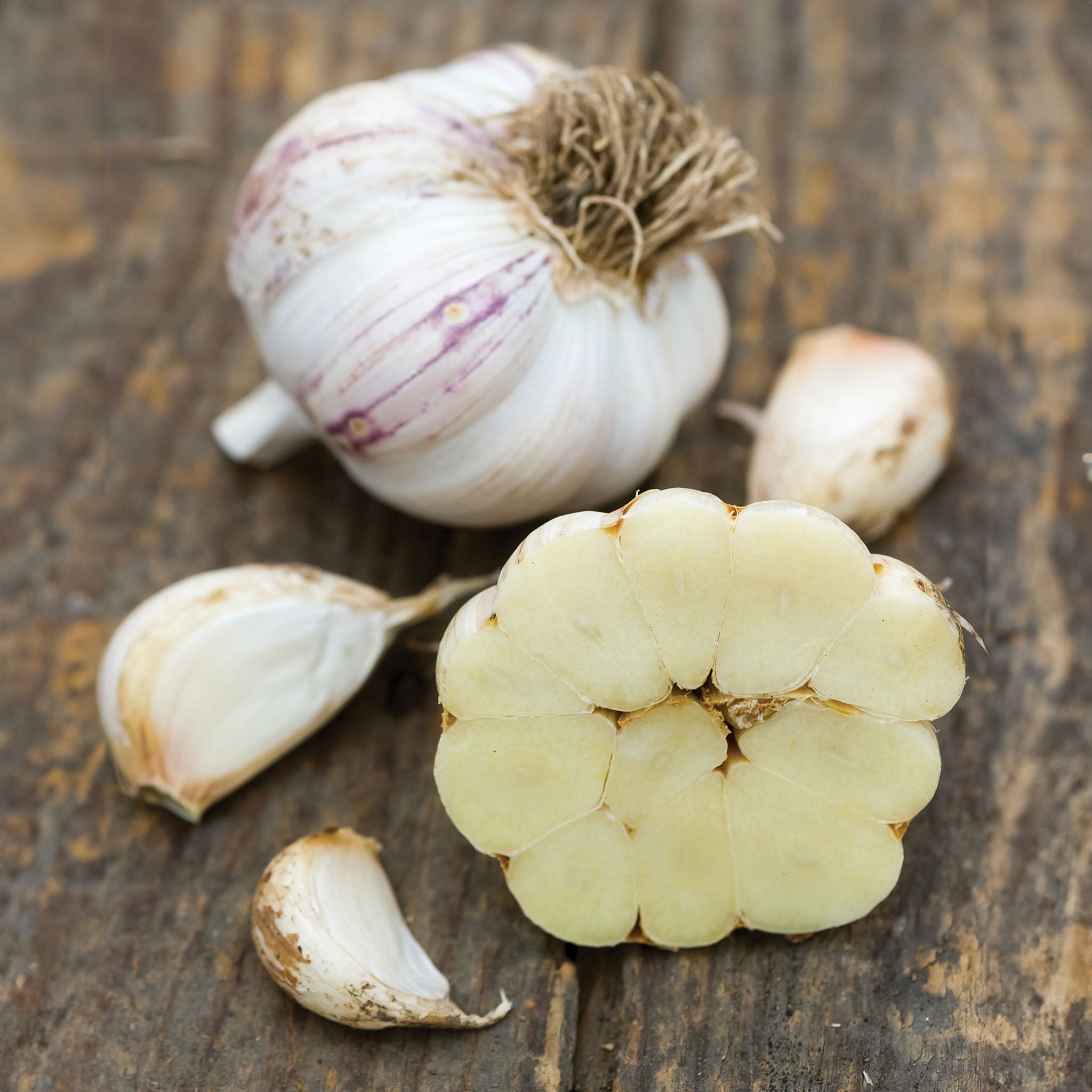 Maiskij Garlic Bulbs
