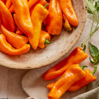 First Taste Sweet Pepper