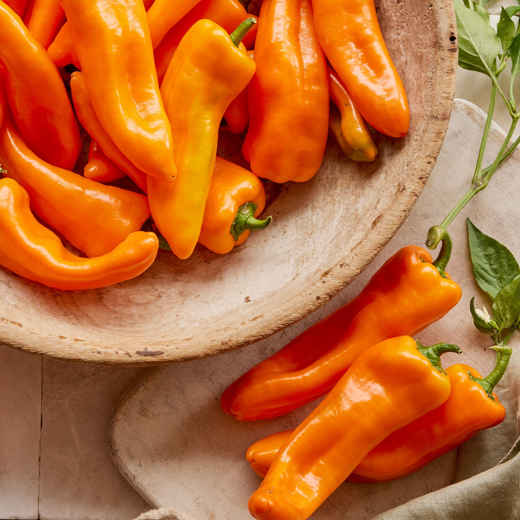 First Taste Sweet Pepper