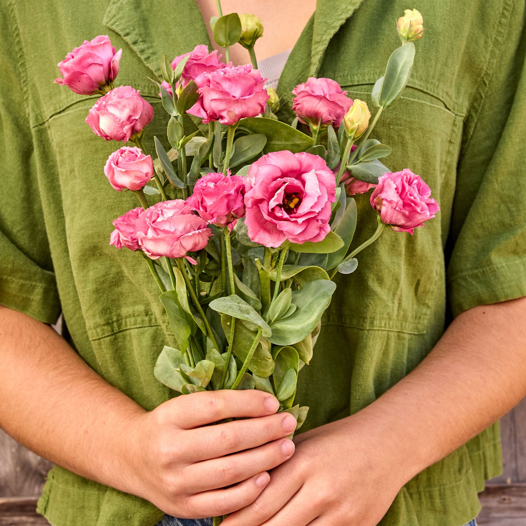 Deep Rose Lisianthus