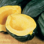 Acorn Table Queen Winter Squash