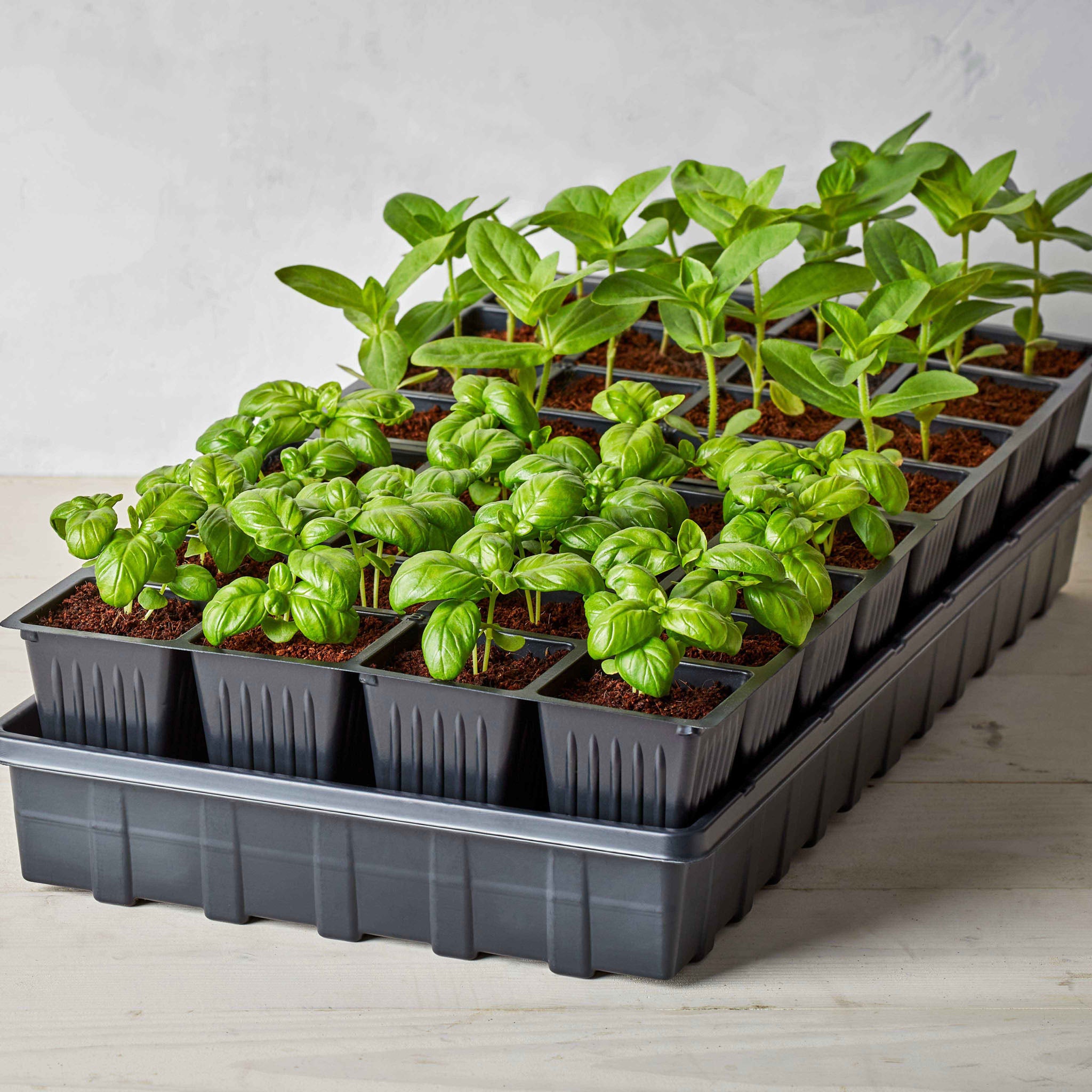 32 XL Cell Self-Watering Ultimate Growing System