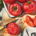 Druzba Tomato