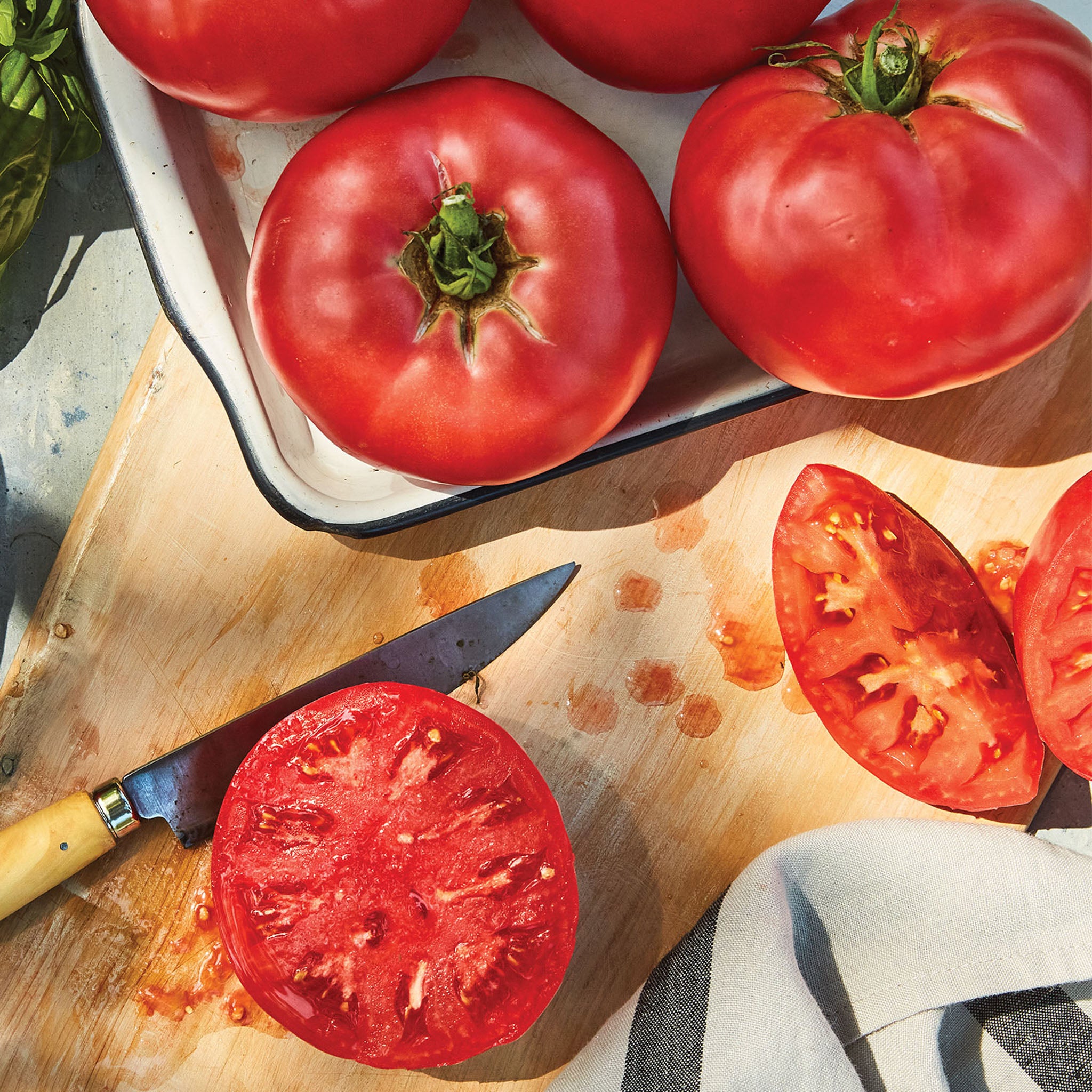 Druzba Tomato