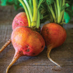 Burpee's Golden Beet