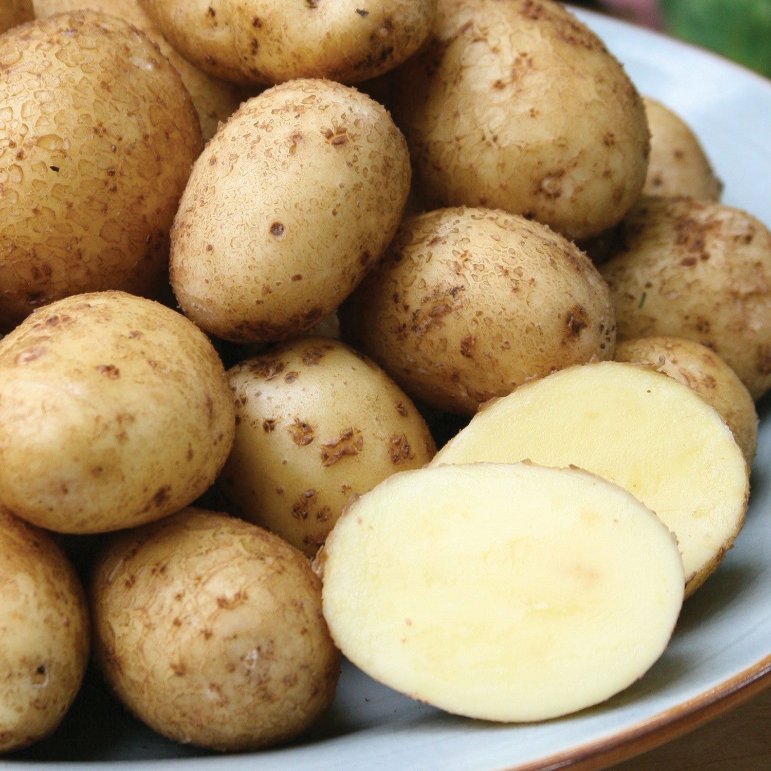 German Butterball Potato Tubers