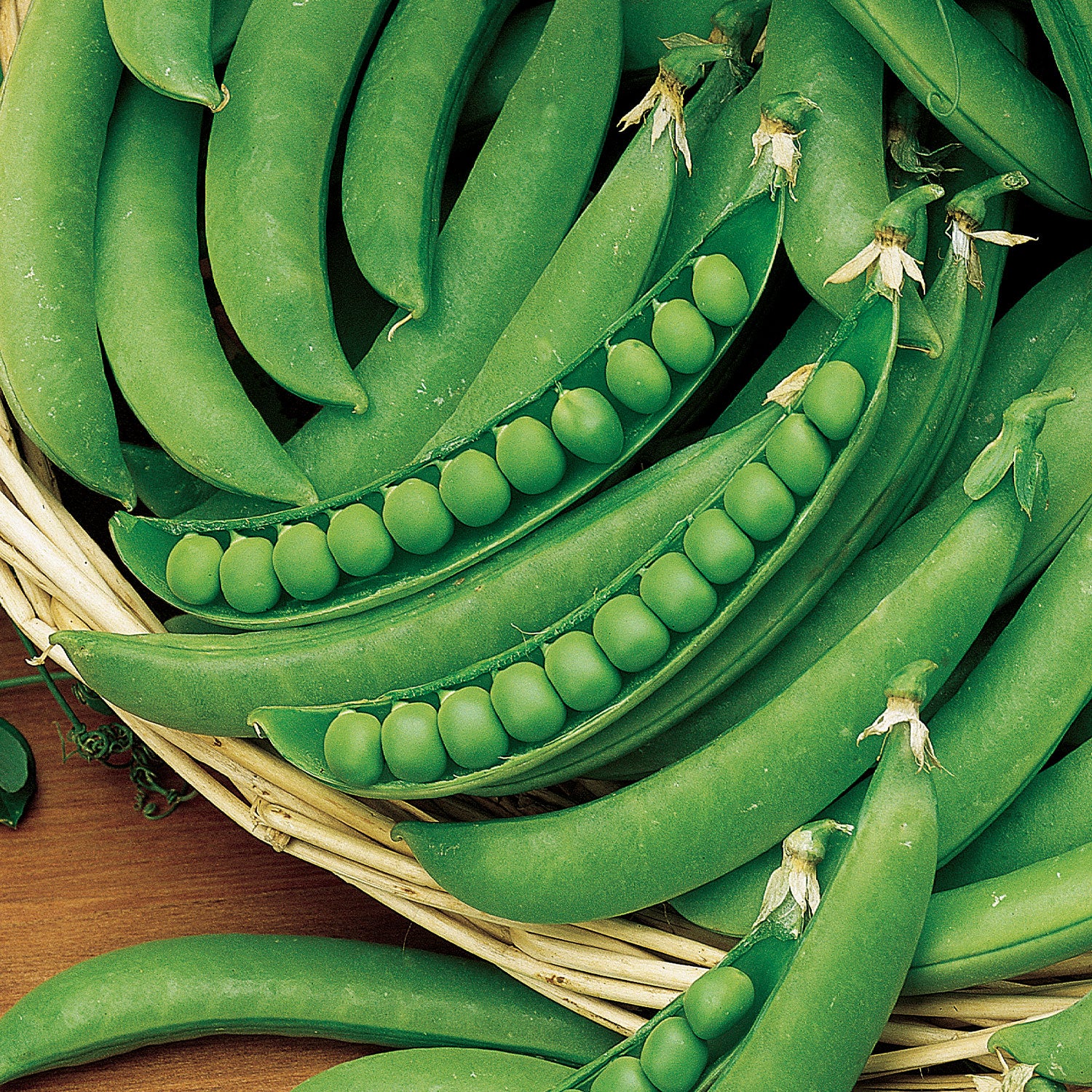 Super Snappy Pea