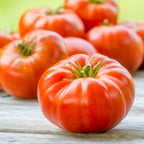 Mortgage Lifter Tomato