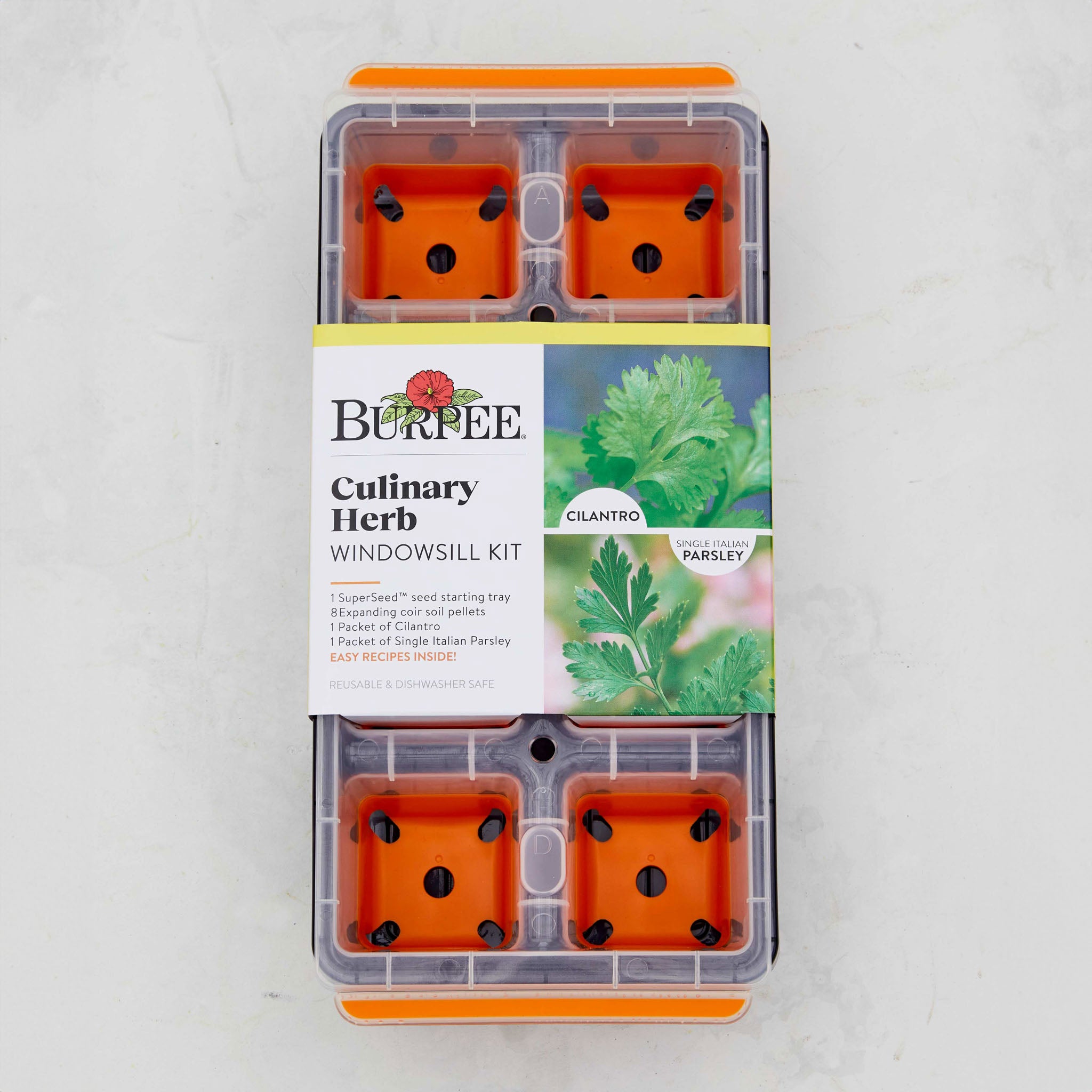 Culinary Herb Windowsill Herb Kit