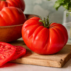 Burpee Garden Sown™ Groundswell Tomato