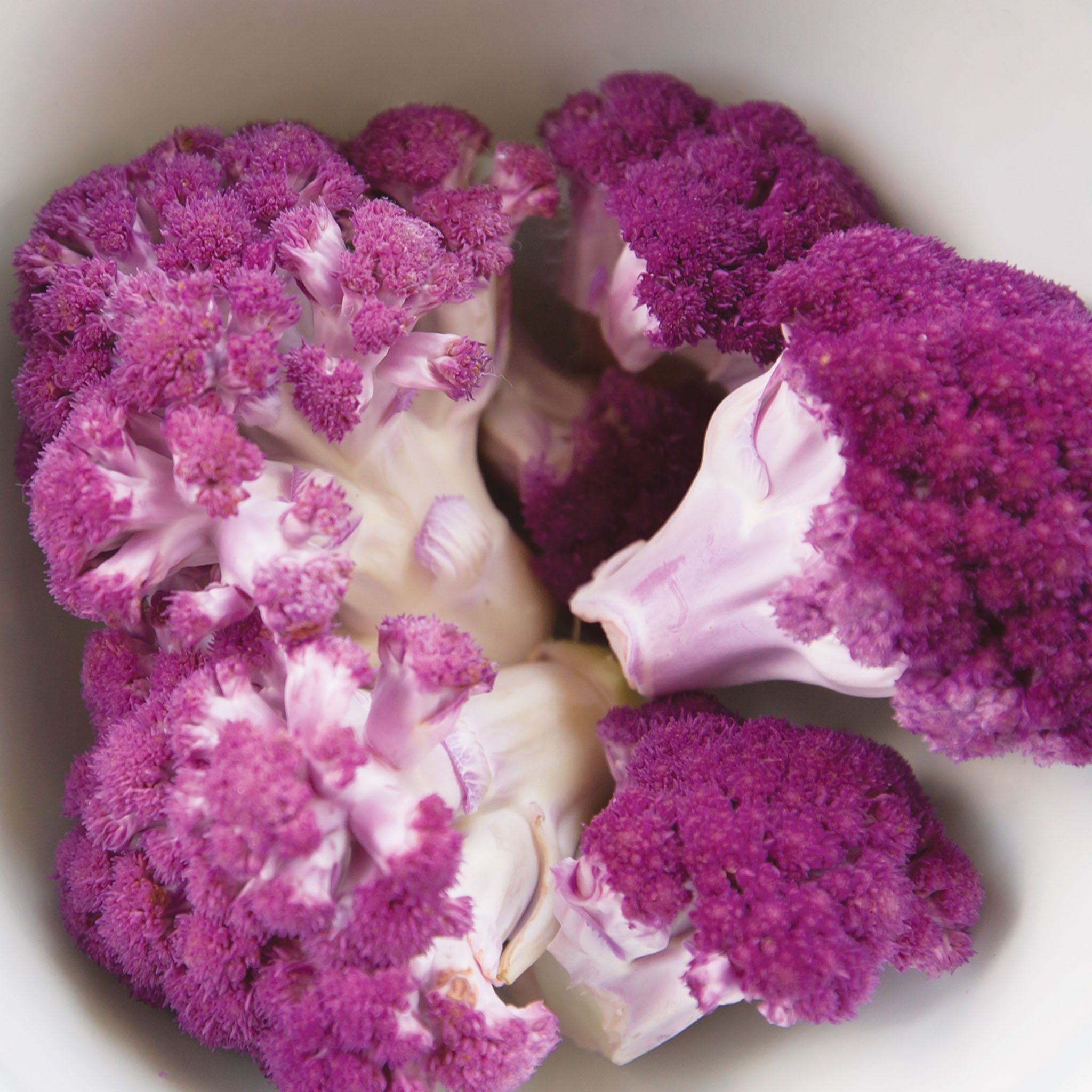 Depurple Cauliflower