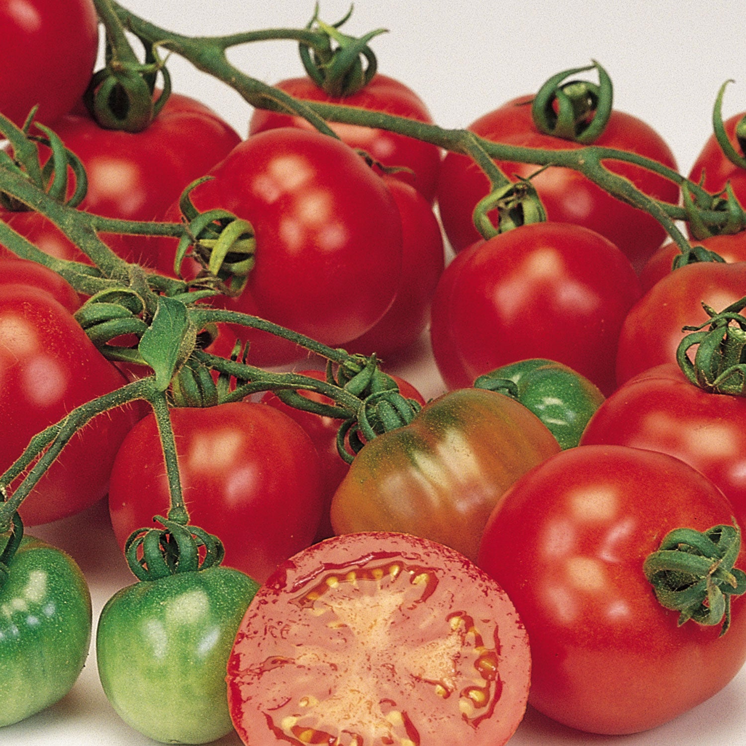 Bloody Butcher Tomato
