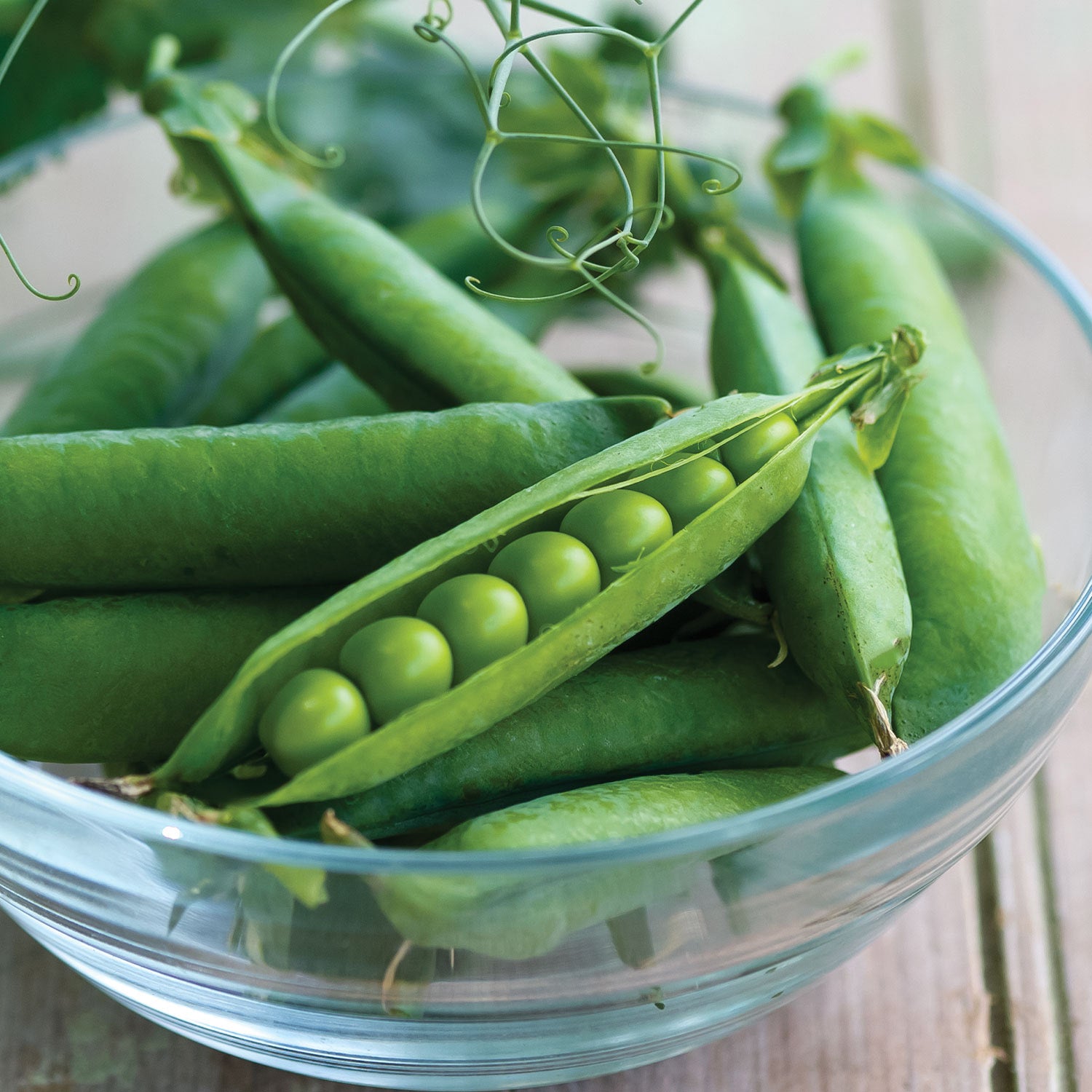 Easy Peasy Pea
