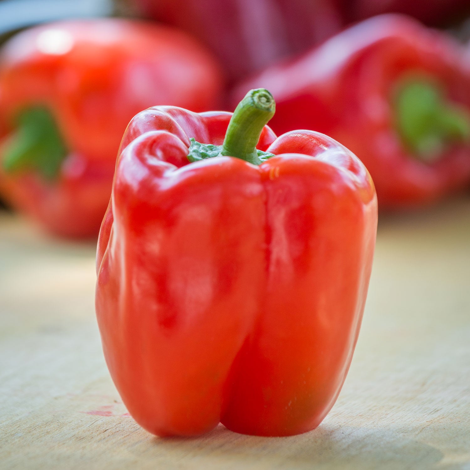Jungle Parrot Sweet Pepper