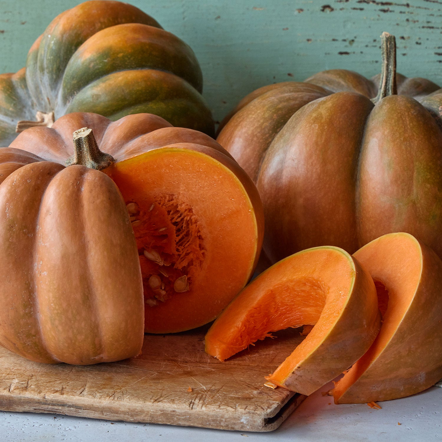 Musquee de Provence Pumpkin