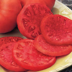 Porterhouse Tomato