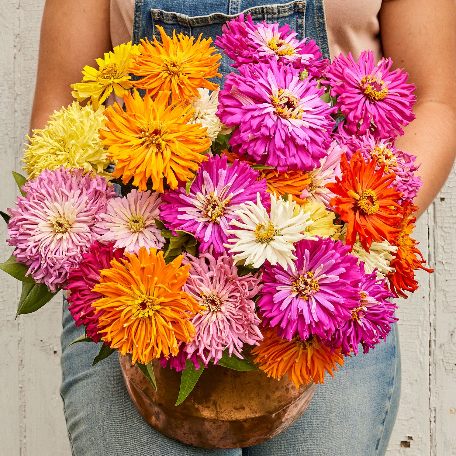 Burpeeana Giants Mix Zinnia
