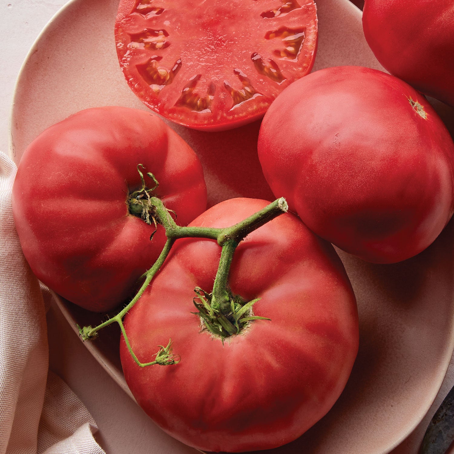Brandywine Pink Tomato