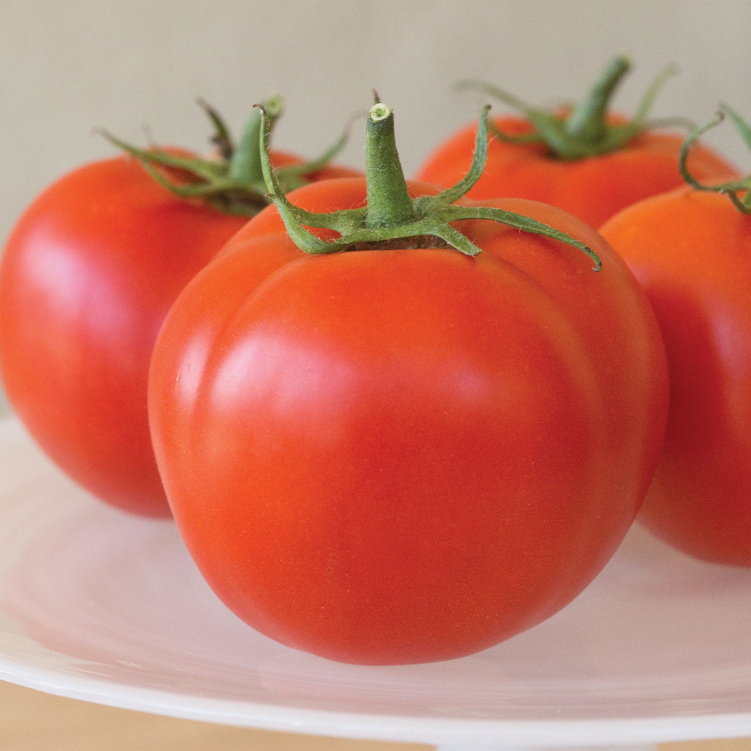 Oh Happy Day Tomato