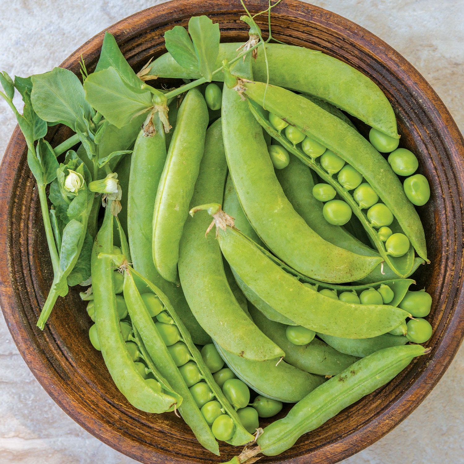 Super Snappy Pea