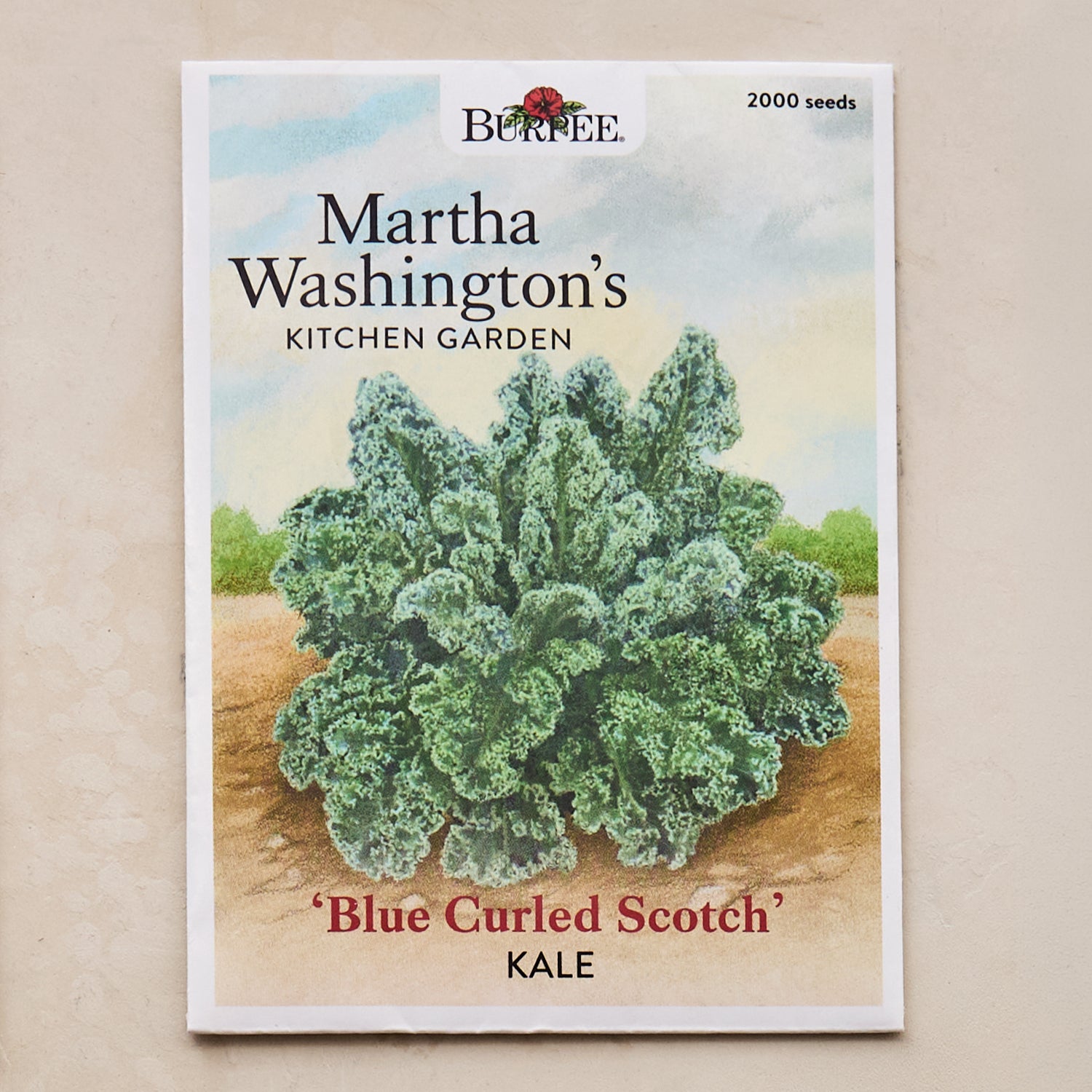 Blue Curled Scotch Kale Seeds - Martha Washington's Kitchen Garden