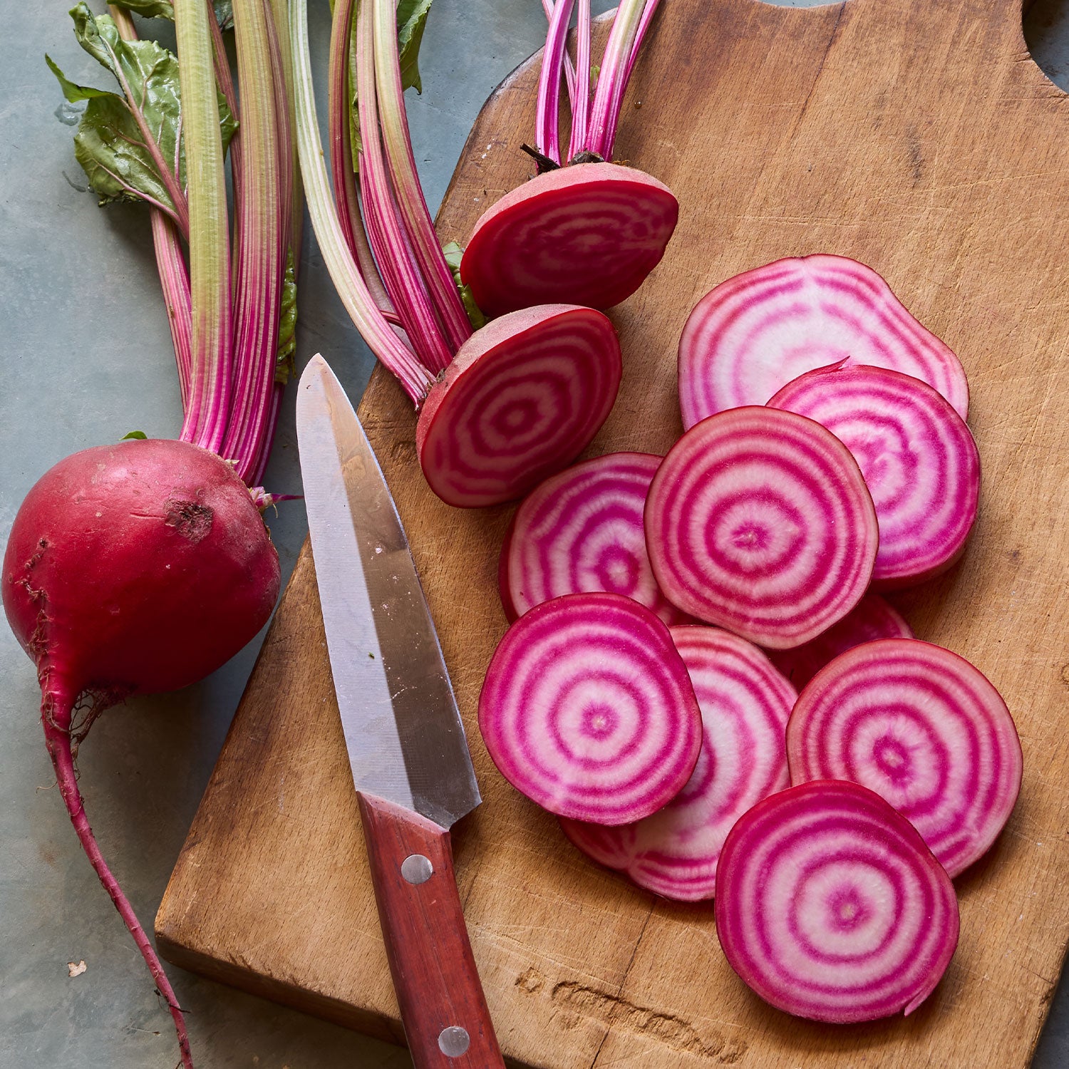 Chioggia Beet