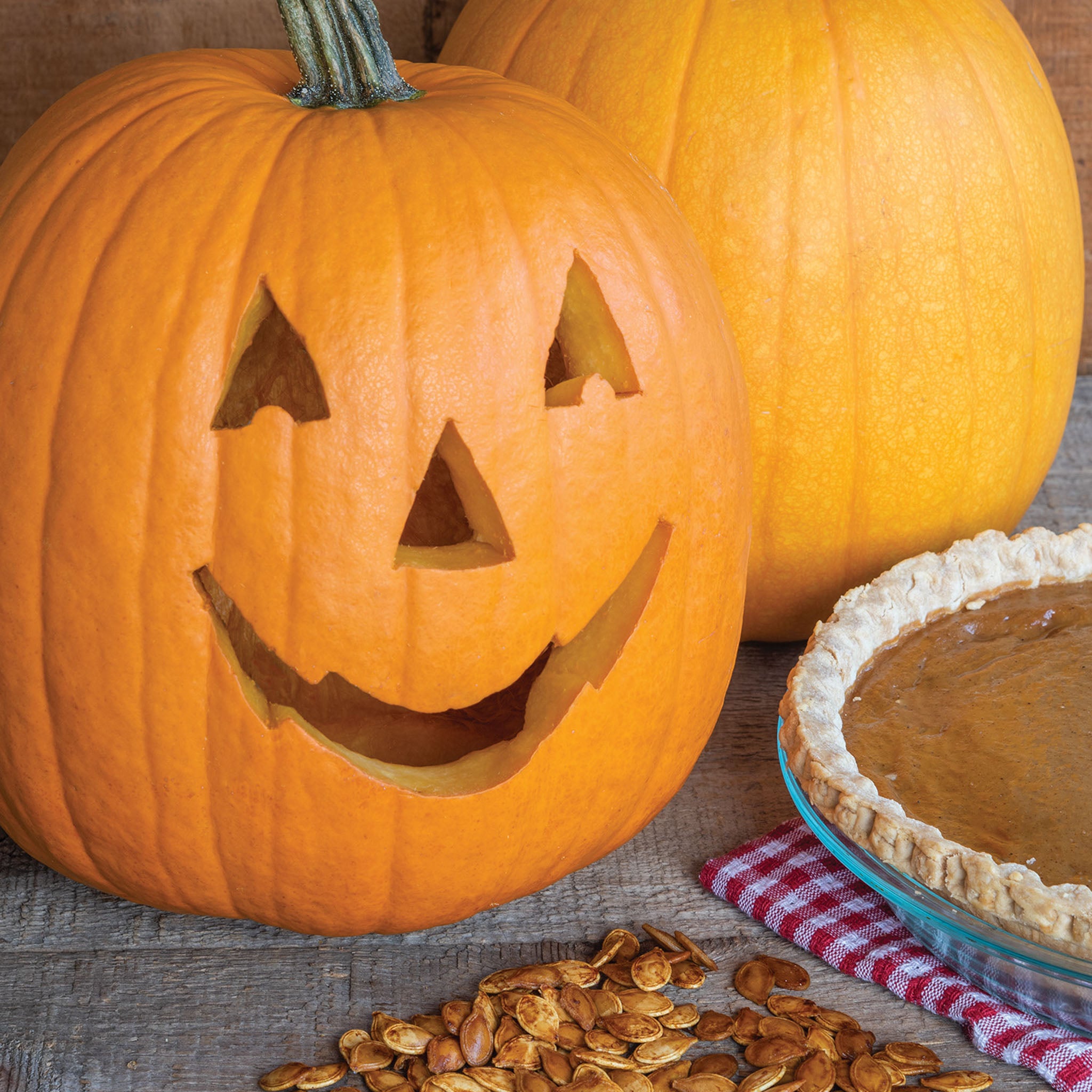 Triple Treat Pumpkin