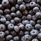 Jersey Blueberry