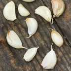 Maiskij Garlic Bulbs