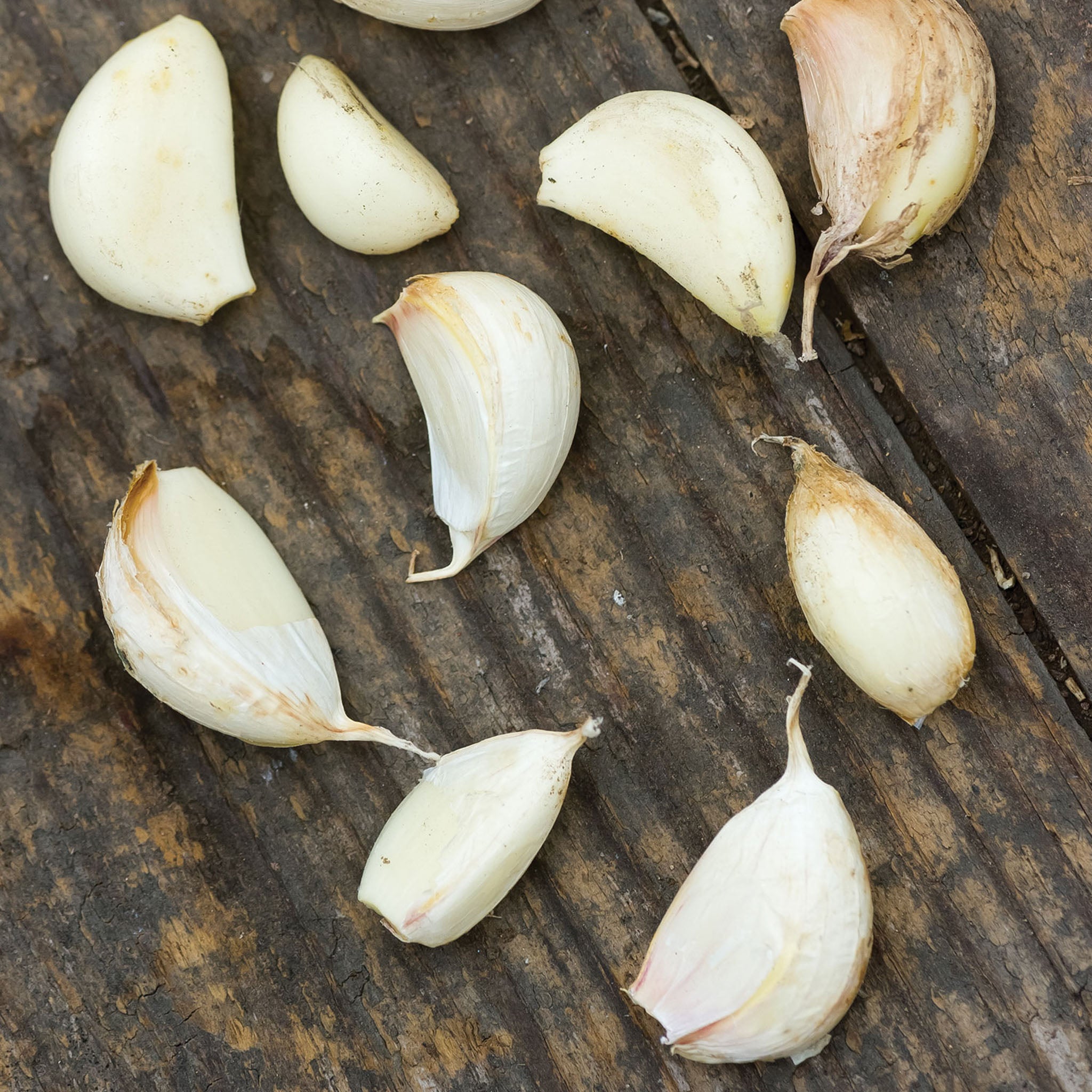 Maiskij Garlic Bulbs