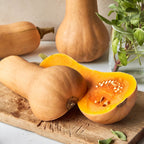Pilgrim Winter Squash