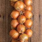 Patterson Hybrid Onion