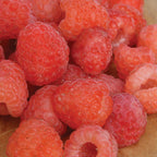Double Gold Raspberry