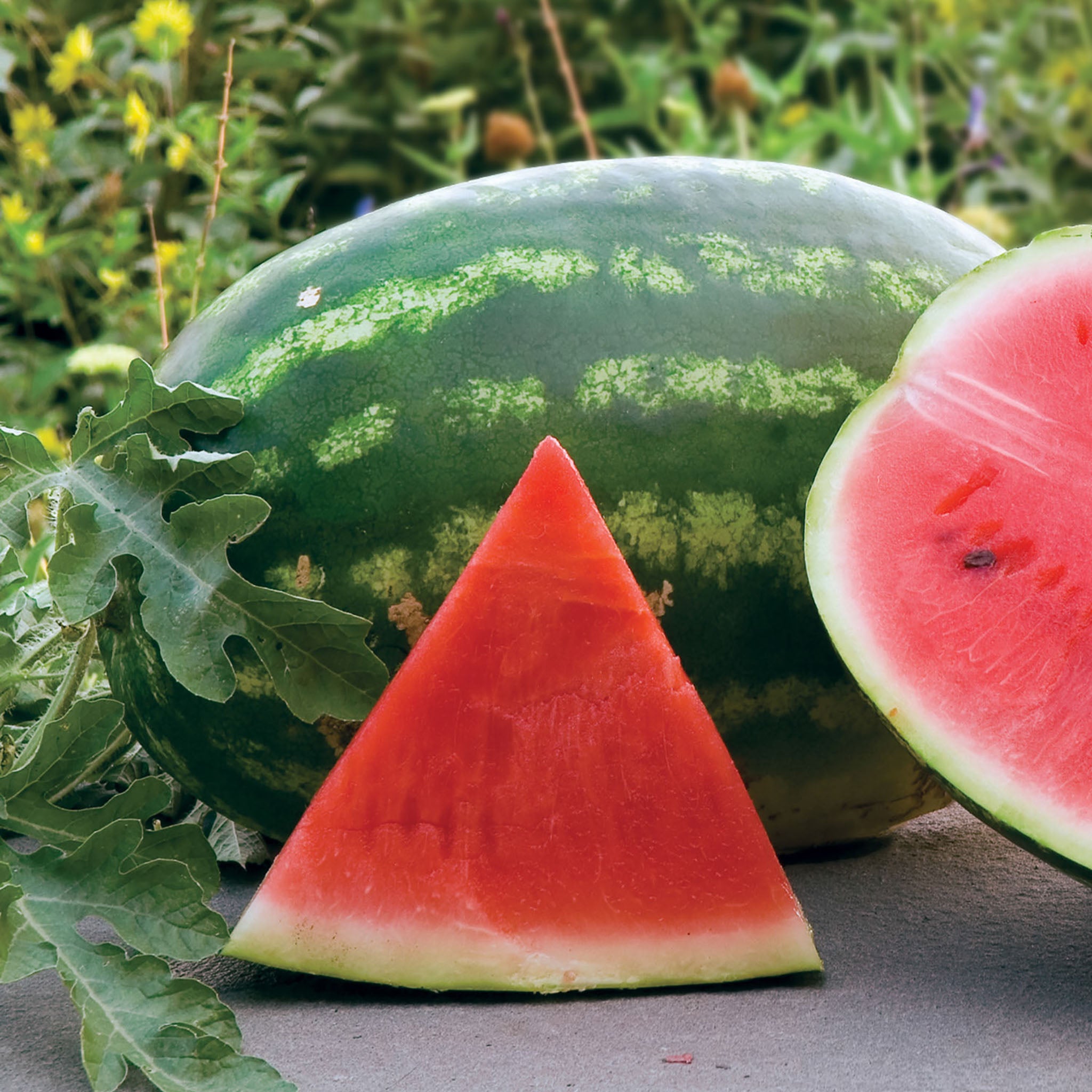 Allsweet Organic Watermelon