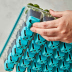 36 Cell SuperSeed Seed Starting Tray