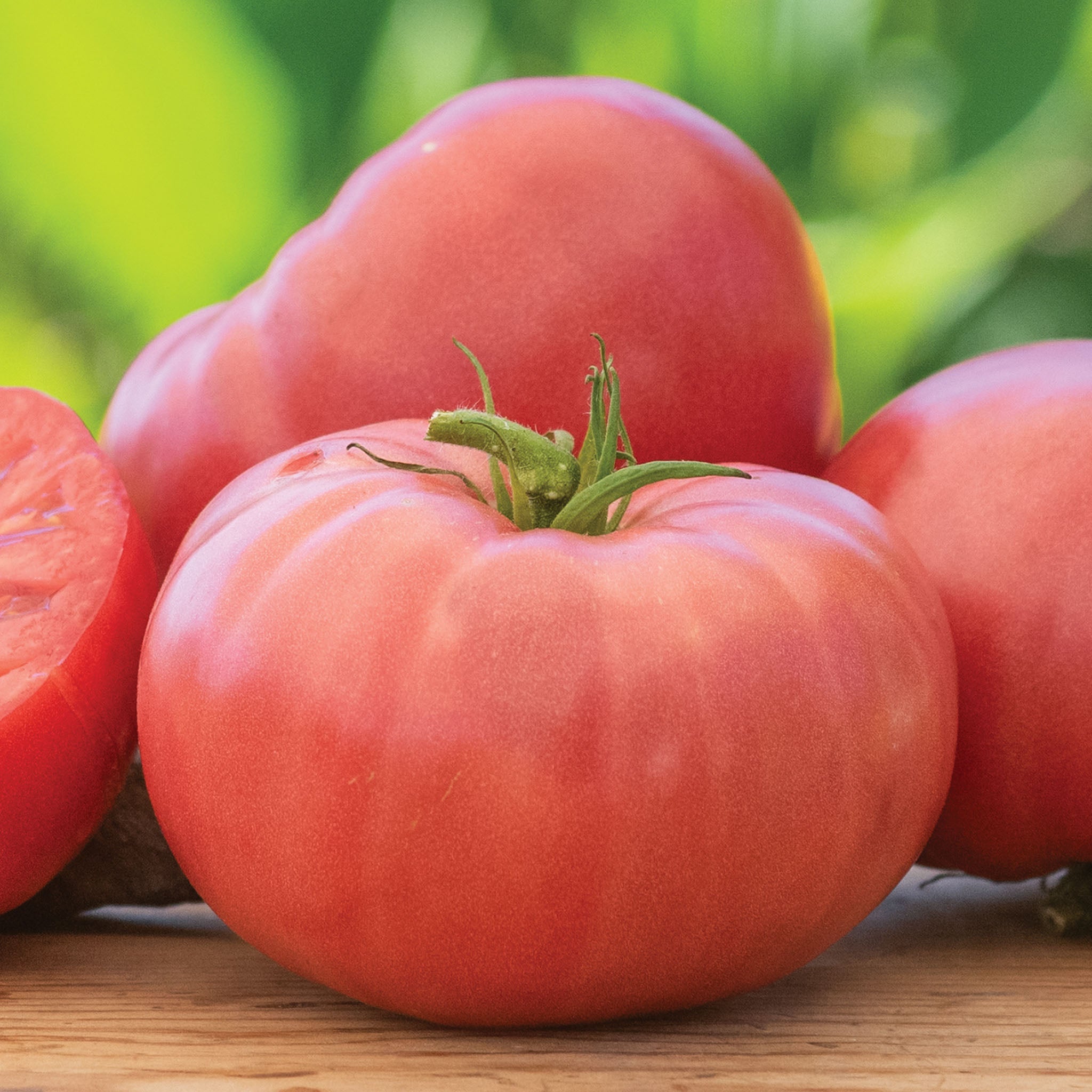 Arkansas Traveler Tomato