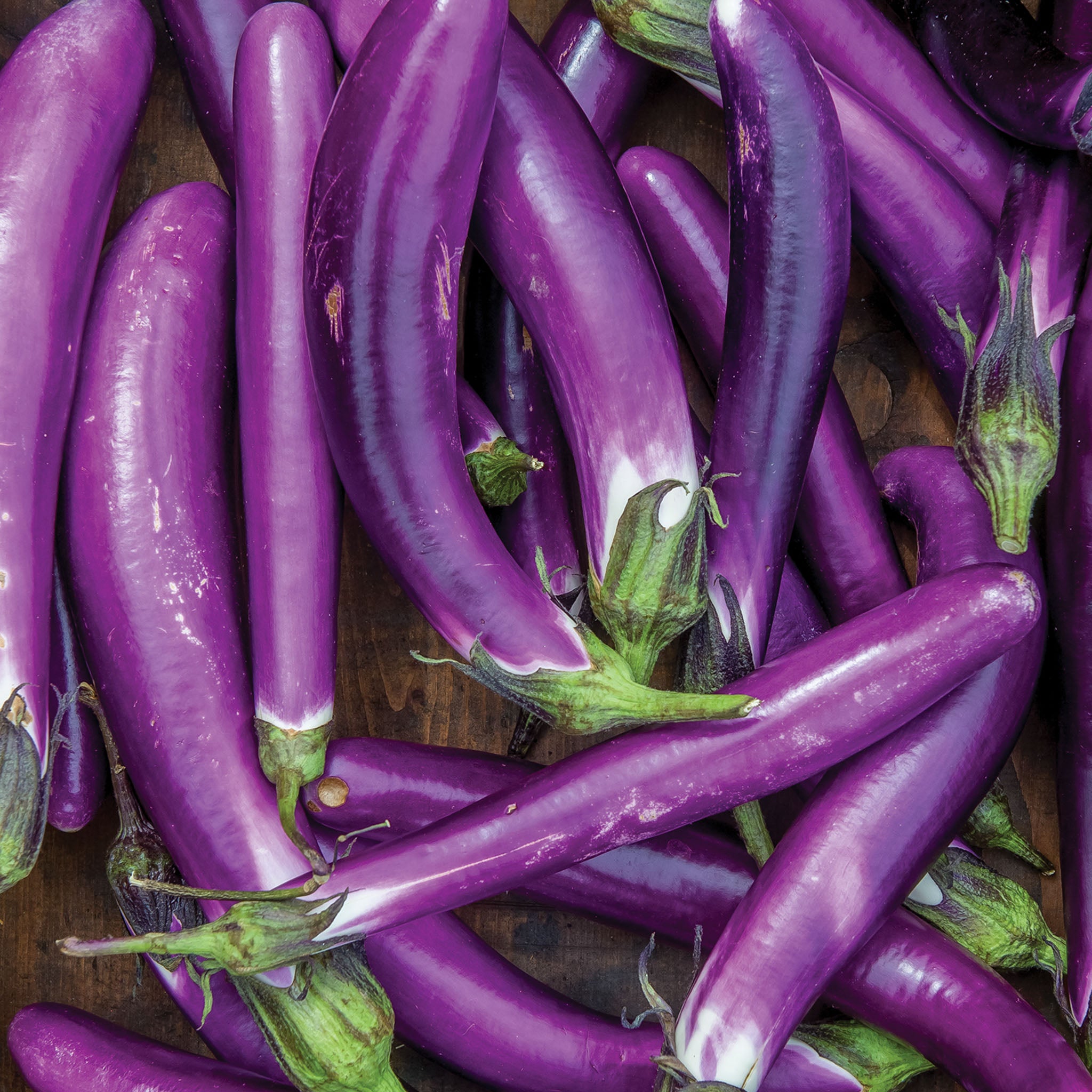 Millionaire Eggplant