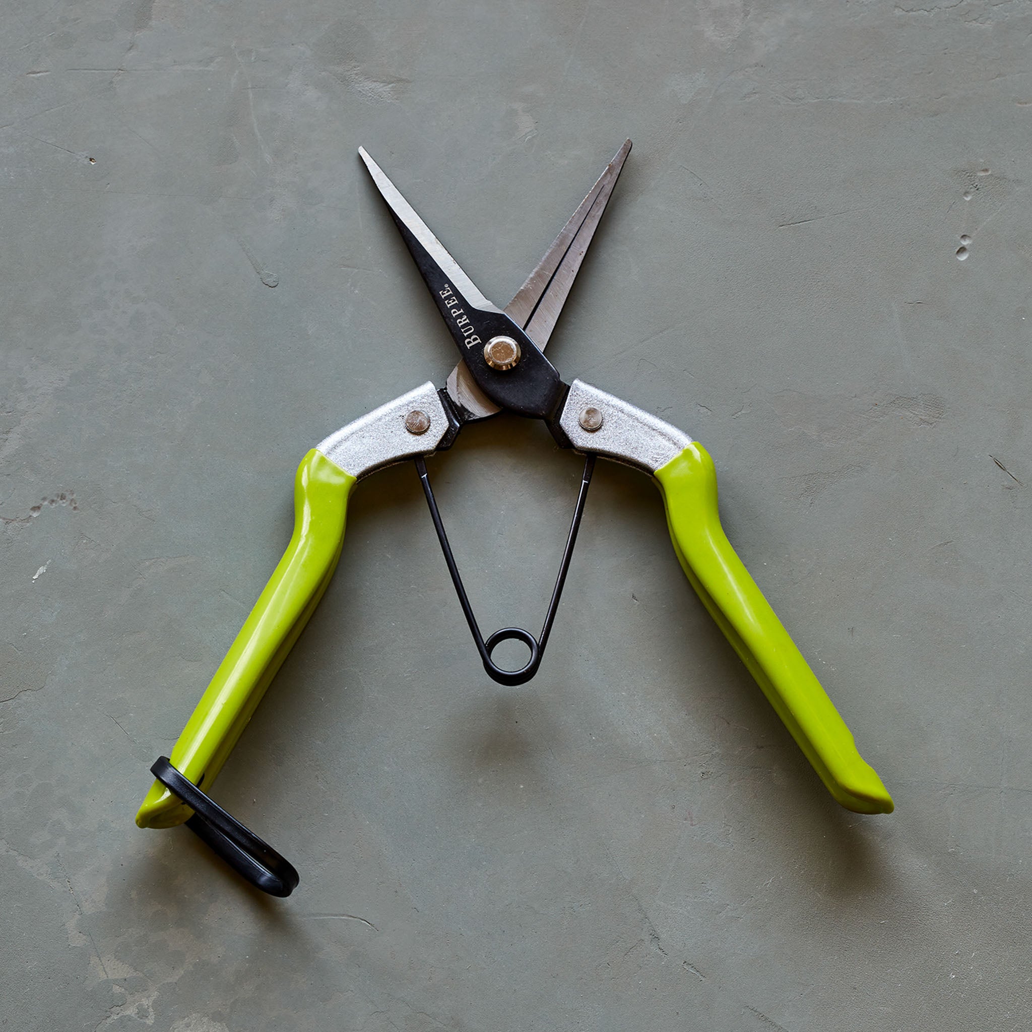Burpee CR725 Garden Pruning Shears