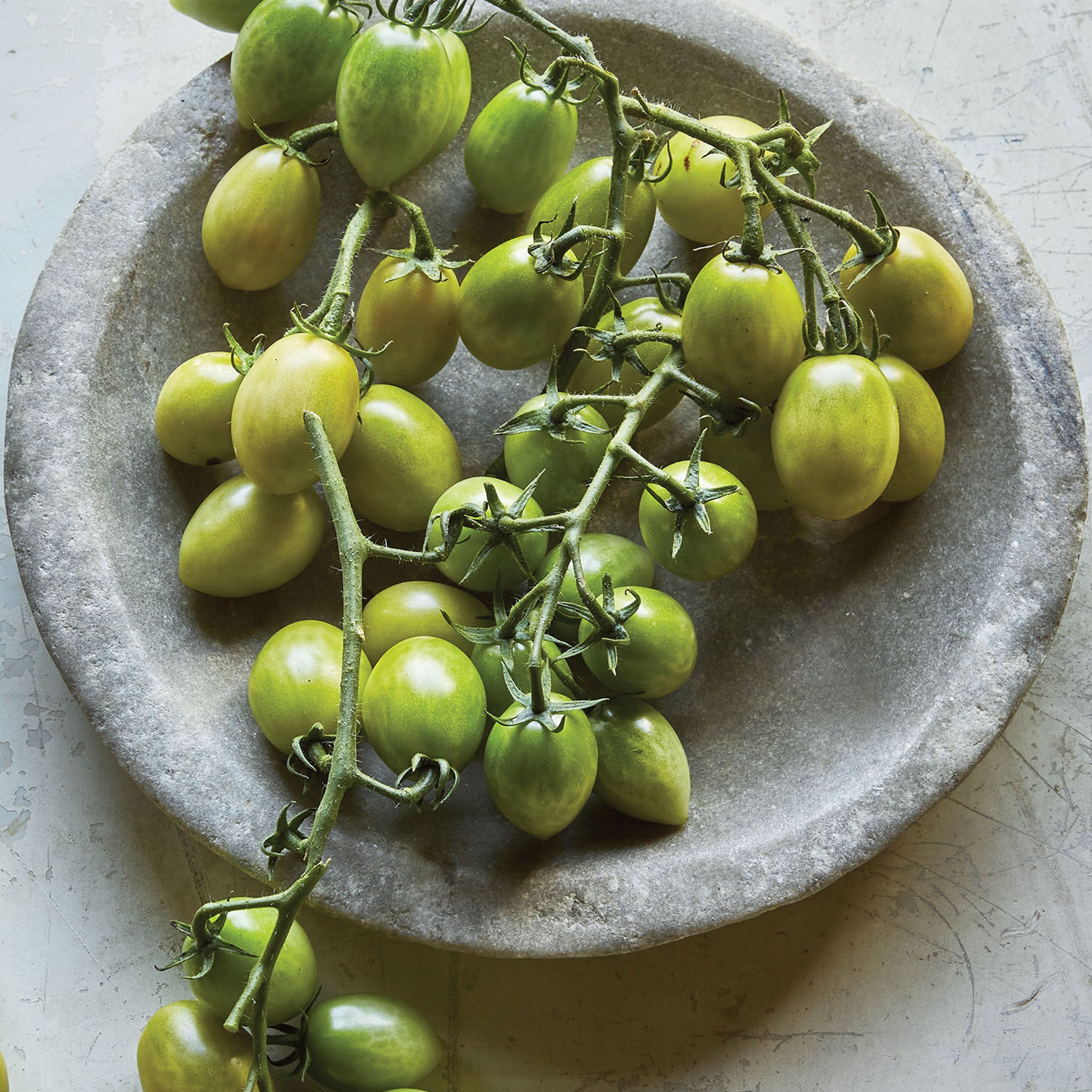 Green Envy Tomato