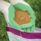 Burpee's Natural Organic Bone Meal 6-8-0