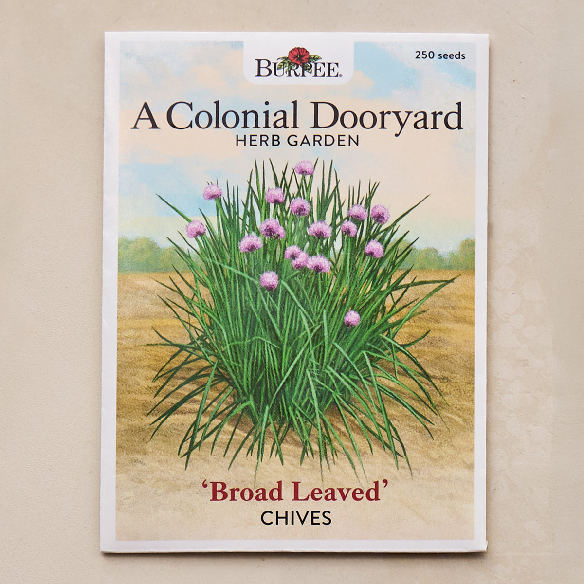 Broad Leaved Chives Seeds - A Colonial Dooryard Herb Garden